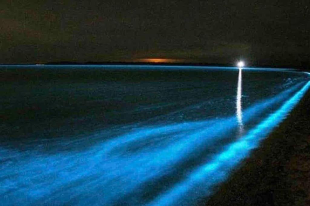 Knus Vakantiehuis 100M Van Het Strand كالانتسوج المظهر الخارجي الصورة